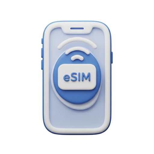 eSIM 설치 방법 아이콘